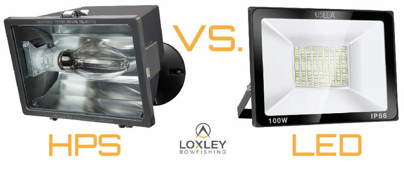 Differences in Bowfishing Lights & How to Choose Your Light Setup