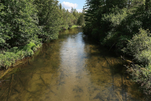 How Bowfishing Helps the Environment