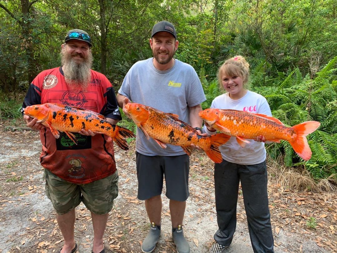The Advantages of Using a Guide When Bowfishing